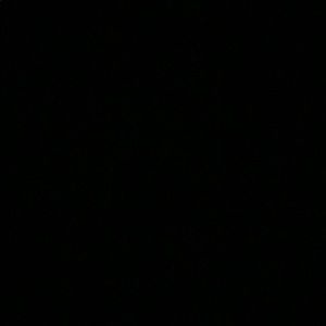 Meet your Posher, Benjamin